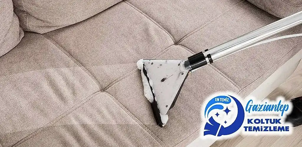 Kanepe temizleme